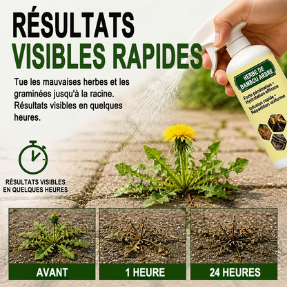 🔥🔥 PROMOTION 2026 - Désherbant Naturel à Action Rapide pour Éliminer les Mauvaises Herbes et les Herbes Indésirables