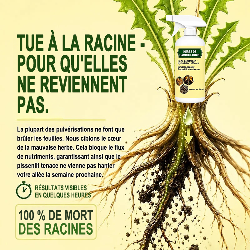 🔥🔥 PROMOTION 2026 - Désherbant Naturel à Action Rapide pour Éliminer les Mauvaises Herbes et les Herbes Indésirables