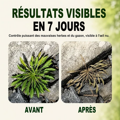🔥🔥 PROMOTION 2026 - Désherbant Naturel à Action Rapide pour Éliminer les Mauvaises Herbes et les Herbes Indésirables