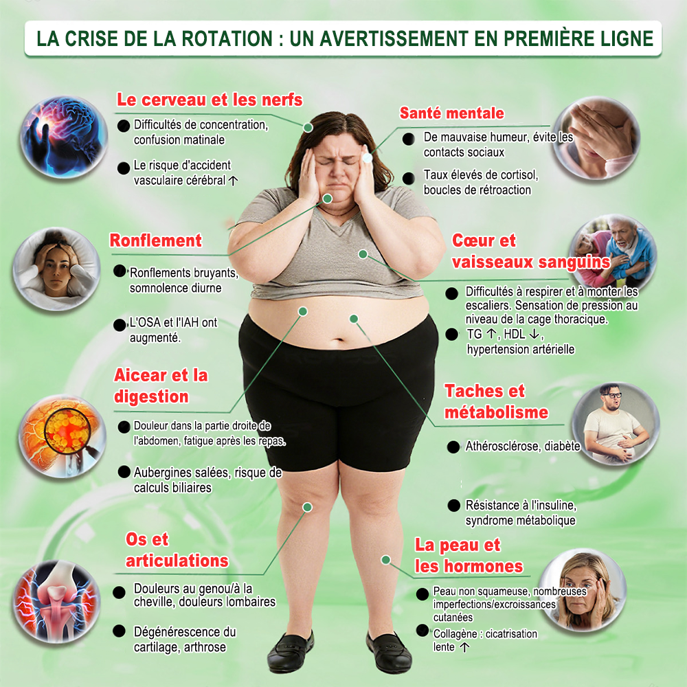 🇫🇷 Boutique Officielle France | 🌷🔥 𝗖𝘂𝗿𝗮𝗹𝗼𝗻𝗮® Berbérine · Moringa × NAD+ Patch Nano Microneedle 10-en-1 Avancé  💪 Une application par jour — des résultats visibles dès 7 jours