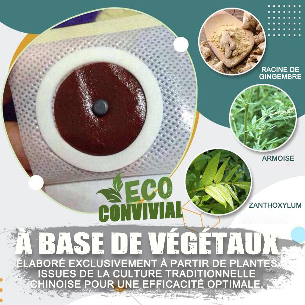 Purelora® Patch Minceur Détox Parfait（Offre limitée 🔥 Dernier jour）